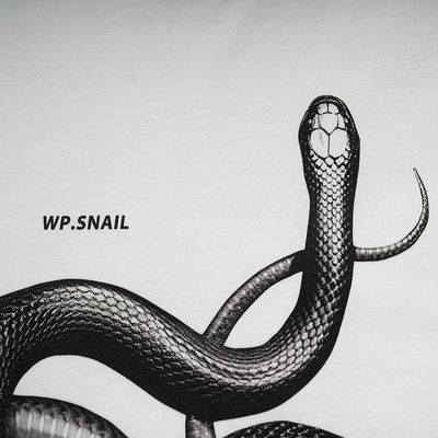 Camisa 3D impresa de serpente solta para moda de rua em vários tamanhos