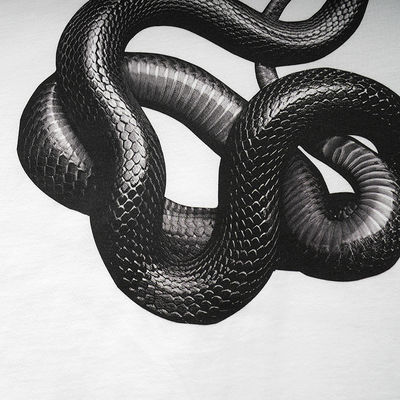 Camisa 3D impresa de serpente solta para moda de rua em vários tamanhos